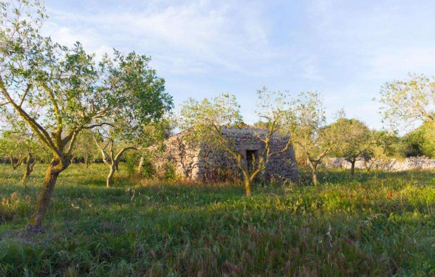 Agriturismo Malbuger Nou