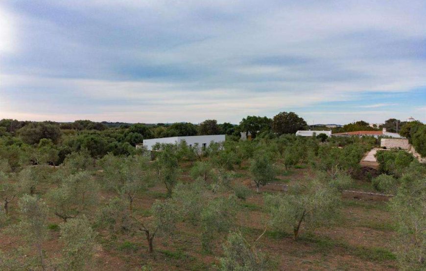 Agriturismo Malbuger Nou