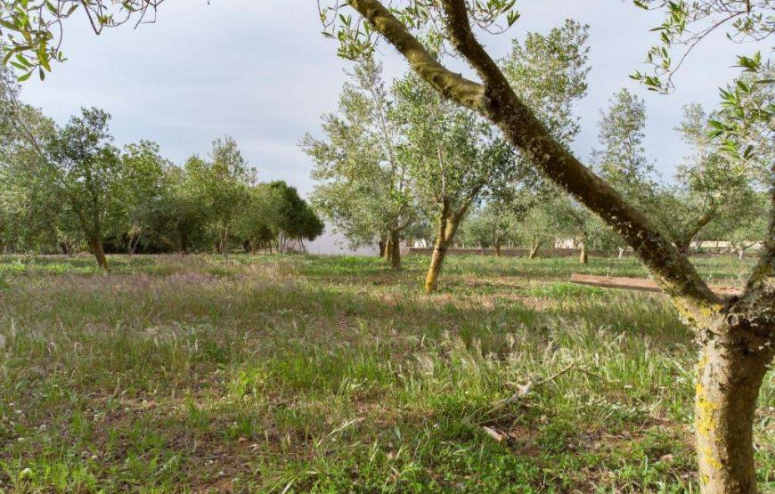 Agriturismo Malbuger Nou