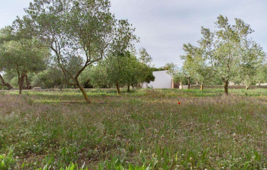 Agriturismo Malbuger Nou
