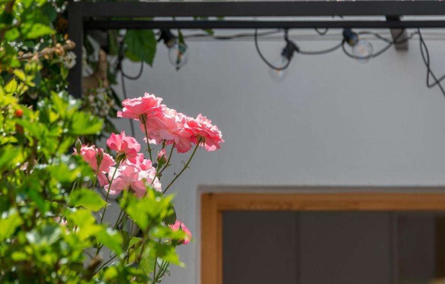 Sodium Boutique Hotel