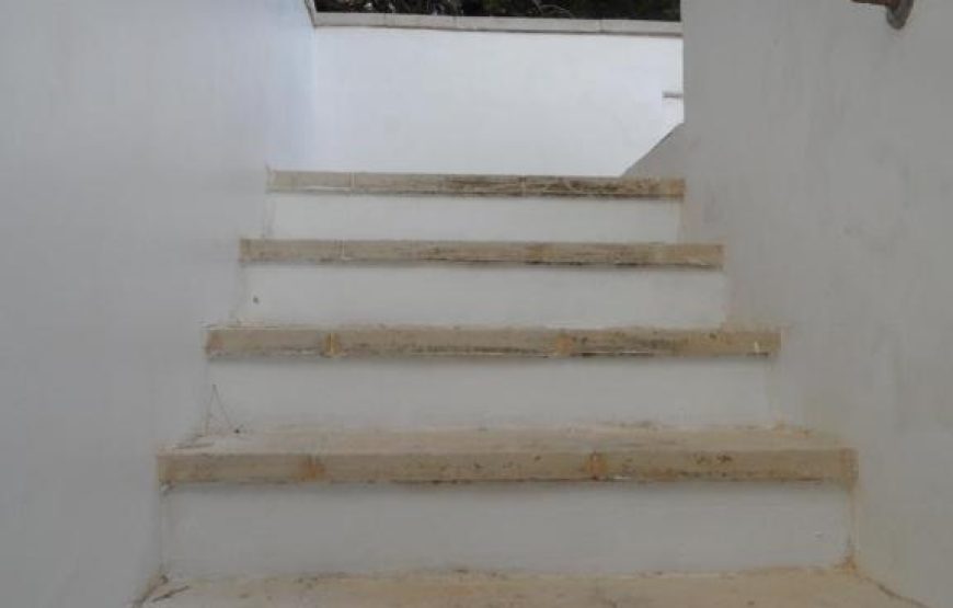 Villa Getty