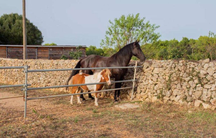 Agriturismo Llimpet
