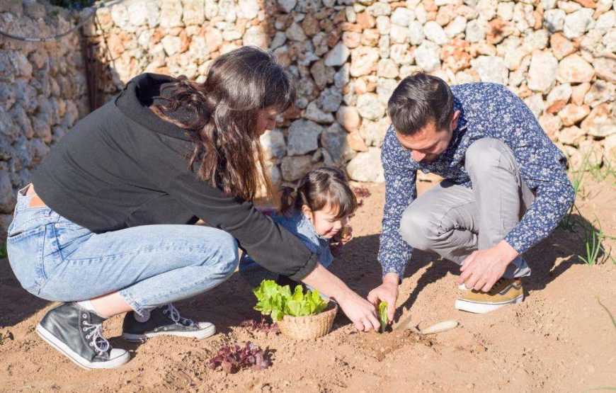 Agriturismo Llucmaçanes Gran