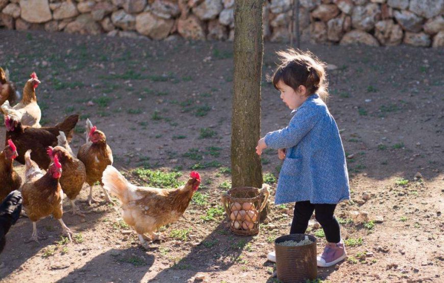 Agriturismo Llucmaçanes Gran