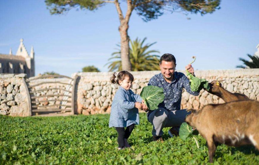 Agriturismo Llucmaçanes Gran