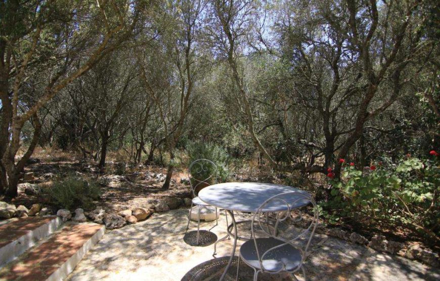 Agriturismo Matxani Gran