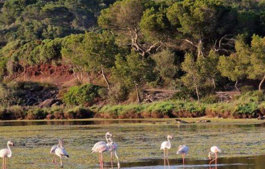 Agriturismo Mongofre Nou