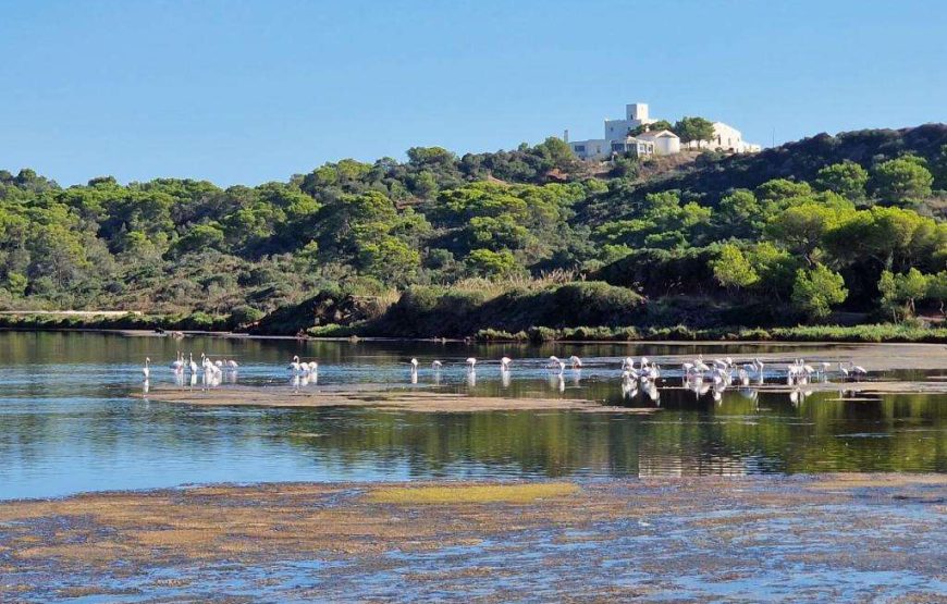 Agriturismo Mongofre Nou
