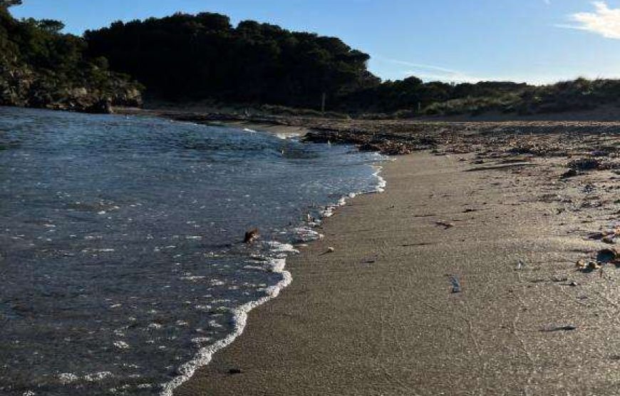 Agriturismo Mongofre Nou