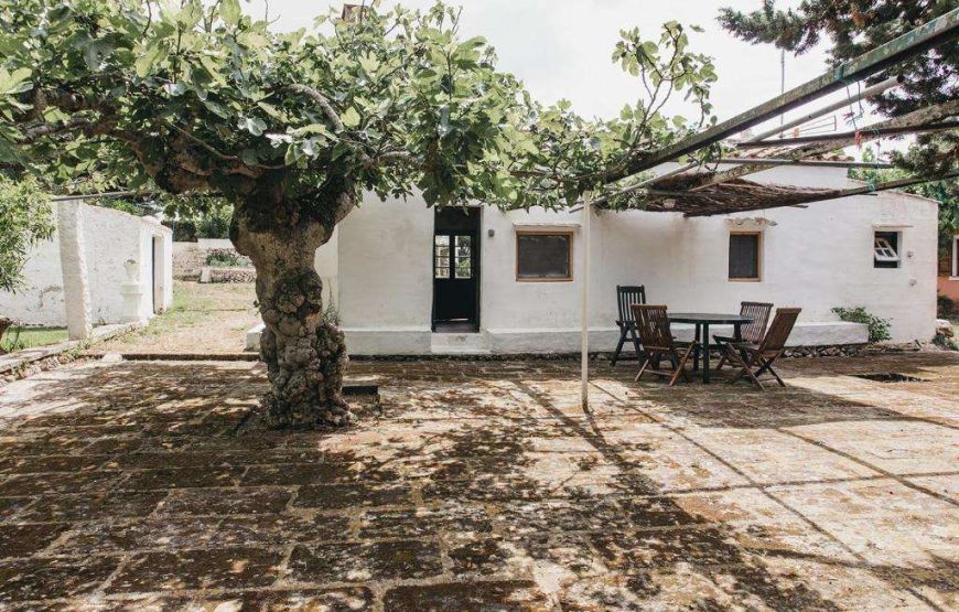 Agriturismo Son Triay