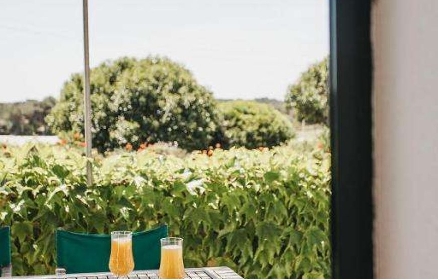 Agriturismo Son Triay