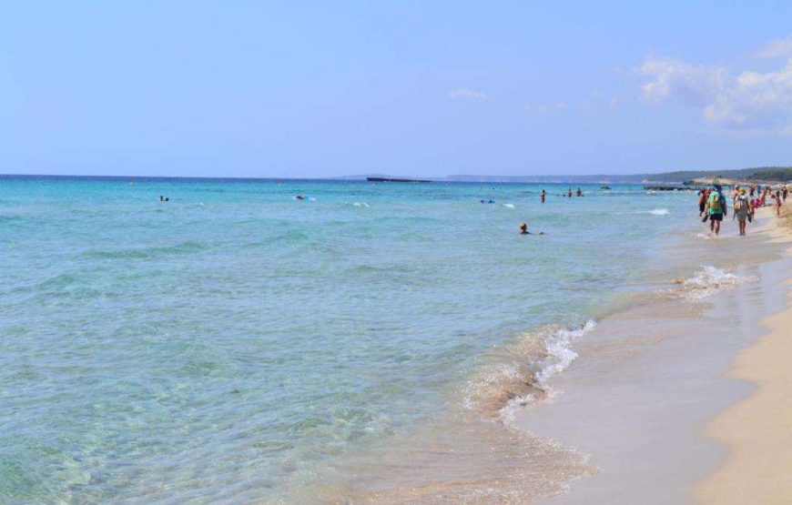 Appartamenti Son Bou Gardens