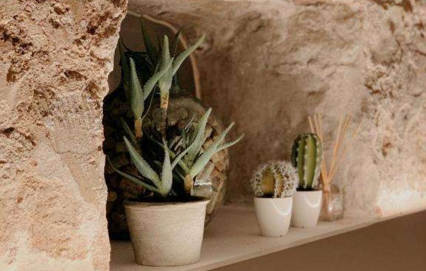 Boutique Hotel Sant Roc & Spa