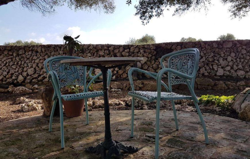 Hotel Biniati des Pi