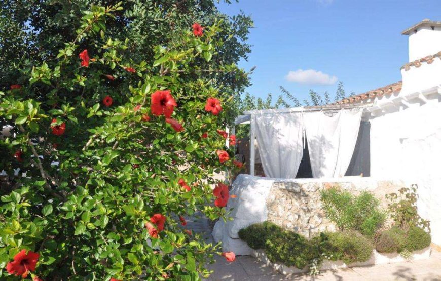 Hotel Biniati des Pi