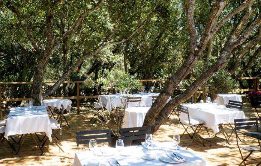 Agriturismo Santa Mariana