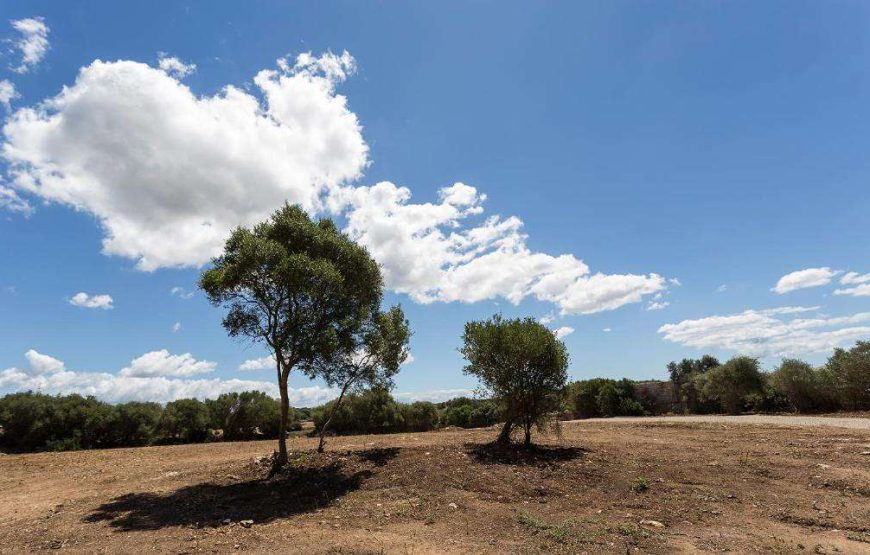 Agriturismo Santa Mariana